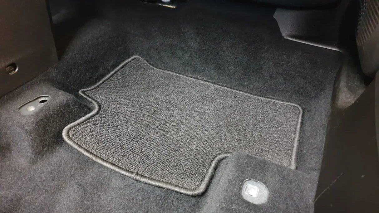 Nettoyage tapis, poils de chien (après)